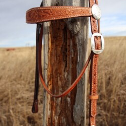 Browband headstall with engraved silver hardware.