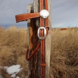 Browband headstall with engraved silver hardware.