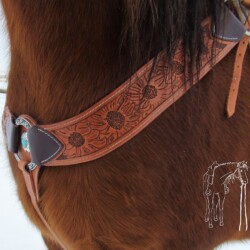 Classic breast collar.