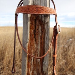 Browband headstall with engraved silver hardware.