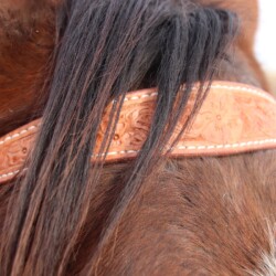 Browband headstall with engraved silver hardware.