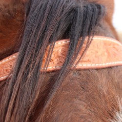 Browband headstall with engraved silver hardware.