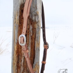 Split ear headstall with nickle hardware.