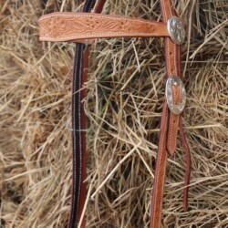 Browband headstall with engraved silver hardware.